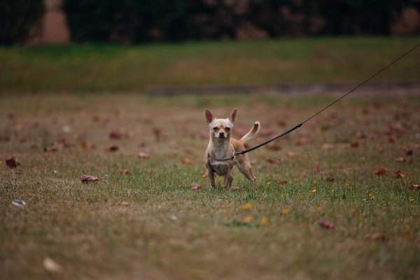 What are effective strategies for organizing a UK home efficiently?